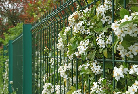pose de cloture jardin 95